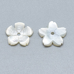 Natural White Shell Beads&nbsp;SSHEL-S260-009