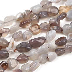 Natural Botswana Agate Nuggets Beads Strands&nbsp;G-B170-A01
