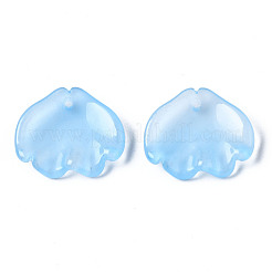 Transparent Spray Painted Glass Pendants&nbsp;GGLA-S054-014E-03