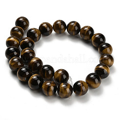Natural Tiger Eye Beads Strands&nbsp;G-H329-C07-16mm