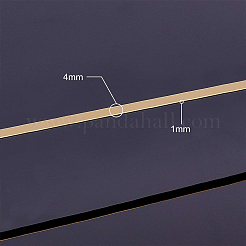 ジュエリー製作用半円形真鍮線  生（メッキなし）  4x1mm&nbsp;CWIR-WH0003-02-A
