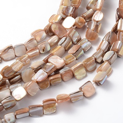 Erose Shell Beads Strands&nbsp;PBB071Y-1