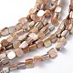 Erose Shell Beads Strands&nbsp;PBB071Y-1