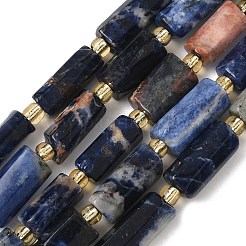 Natural Sodalite Beads Strands&nbsp;G-D353-A22