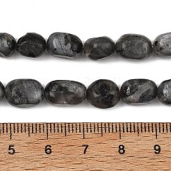 天然ラルビカイトビーズ連売り  タンブルストーン  ナゲット  7~11x7~9x5~7mm  穴：1.2mm  約21~23個/連  7.09~7.48''（18~19センチメートル）&nbsp;GG-C286-A28