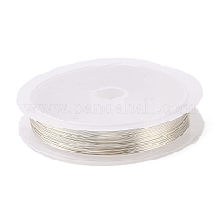 銅線10巻  長持ちメッキ  銀  24ゲージ  0.5mm  5.5 m /ロール&nbsp;CWIR-C003-01D-S