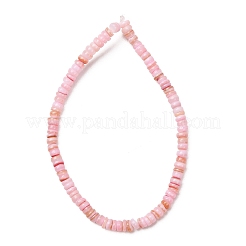Dyed Natural Freshwater Shell Beads Strands&nbsp;SH-CBA2978-05D