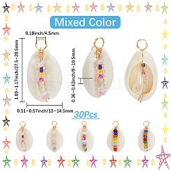 30Pcs Natural Shell Pendants&nbsp;FIND-SC0015-63