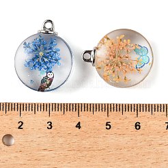 クリアガラスペンダント  内部のドライフラワーと鉄製の金具  ラウンド  ミックスカラー  24x19.5x10mm  穴：2mm&nbsp;GLAA-M048-06