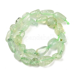 Natural Prehnite Beads Strands&nbsp;G-K395-B08-01