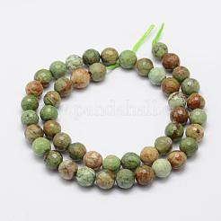 Natural Green Opal Beads Strands&nbsp;G-K209-05A-6mm