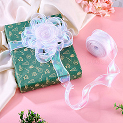 40 Yards Polyester Chiffon Pleated Ribbons&nbsp;OCOR-TAC0013-11B
