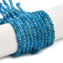 天然石アパタイトビーズ連売り  ラウンド  多面カット  3mm  穴：0.5mm  約128~129個/連  15.12''~15.28''（38.4~38.8センチメートル）&nbsp;G-Z106-A01-3mm