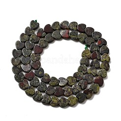 Natural Dragon Blood Jasper Beads Strands&nbsp;G-A272-A01-30