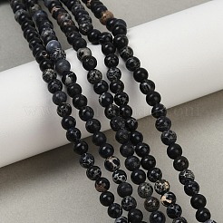 Dyed Natural Regalite/Imperial Jasper/Sea Sediment Jasper Beads Strands&nbsp;G-B124-C04-12