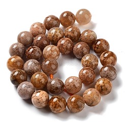 Natural Flower Agate Beads Strands&nbsp;G-B044-A01-04