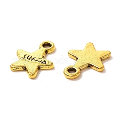Tibetan Style Alloy Charms&nbsp;GLF9221Y