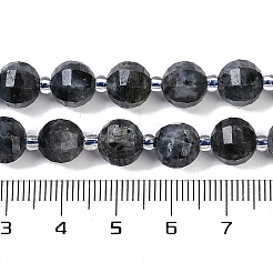 Natural Larvikite Beads Strands&nbsp;G-G182-B38-03