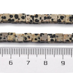 Natural Dalmatian Jasper Beads Strands&nbsp;G-F631-K30