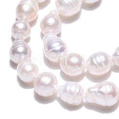 Natural Baroque Pearl Keshi Pearl Beads Strands&nbsp;PEAR-S020-F04-01