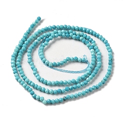 Natural Howlite Beads Strands&nbsp;G-C025-02A-01