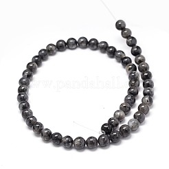 天然ラルビカイト ラウンド ビーズ 連売り  6mm  穴：1mm  約62個/連  15.5インチ&nbsp;G-P075-30-6mm