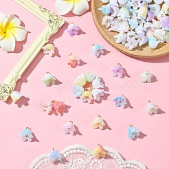90個9スタイルアクリルパーツ  ABカラーメッキ  ゴールデン真鍮パーツ  花  ミックスカラー  15mm  穴：2.4mm  10個/スタイル&nbsp;PALLOY-CJ00072