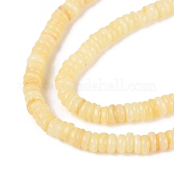 Natural Freshwater Shell Beads Strands&nbsp;SHEL-Q028-01B