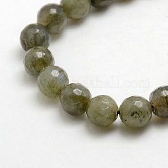 Natural Gemstone Labradorite Faceted Round Bead Strands&nbsp;G-O021-8mm-01