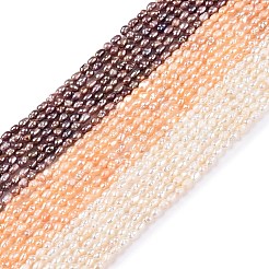 天然養殖淡水パールビーズ連売り  ライス  ミックスカラー  2.5~4.5x1.5~2.5mm  穴：0.5mm  約79~81個/連  13.78インチ（35cm）&nbsp;PEAR-N012-02H-03