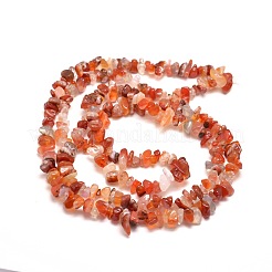 天然南赤瑪瑙チップビーズ連売り  5~8x5~8mm  穴：1mm  約31.5インチ&nbsp;X-G-M205-40