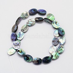 天然パウアシェルビーズ連売り  オーバル  カラフル  14x10x3mm  穴：1mm  約28個/連  15.7インチ&nbsp;SSHEL-J047-14B-01