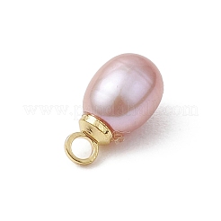 天然養殖淡水真珠ライスチャーム  真鍮のペグベイル付き  ゴールドカラー  ミックスカラー  10.5x5.5mm  穴：1.6mm&nbsp;PALLOY-JF05124