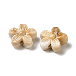 Opaque Two Tone Acrylic Beads&nbsp;OACR-G042-05