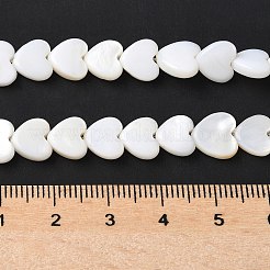 天然淡水シェルビーズ連売り  ハート  貝殻色  7~9x8.5~9x2.5~3mm  穴：0.9mm  約54個/連  15.20インチ（38.6cm）&nbsp;SSHEL-C013-05