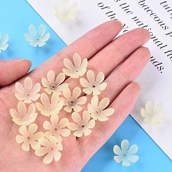 Transparent Acrylic Beads&nbsp;MACR-S373-47-D03
