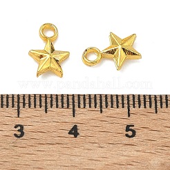 Alloy Pendants&nbsp;PALLOY-F321-01A-G