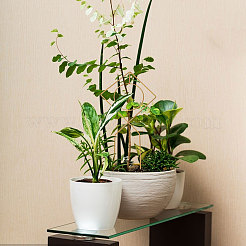 鉄の杭  プラントサポート延長用  屋内の鉢植えに登る  ゴールドカラー  440~460x178x5.5mm&nbsp;AJEW-WH0348-312