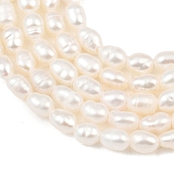 天然養殖淡水パールビーズ連売り  ライス  グレード3a+  トウモロコシの穂の黄色  2.5~3.3mm  穴：0.4mm  約95~102個/連  14.17~14.37''（36~36.5センチメートル）&nbsp;PEAR-F020-13