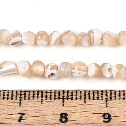 天然トロチッドシェル/トロカスシェルビーズ連売り  ナゲット  小麦  3~4.5x2~5mm  穴：0.6mm  約122~128個/連  15.35~15.75インチ（39~40cm）&nbsp;SSHEL-N040-10