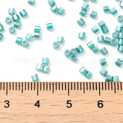 Transparent Colours Luster Glass Seed Beads&nbsp;SEED-S042-20B-07