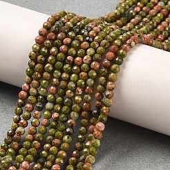 Natural Unakite Beads Strands&nbsp;G-Q002-B01-01