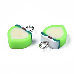 Handmade Polymer Clay Charms&nbsp;CLAY-S096-020B