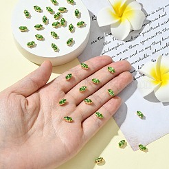 プレシオサ® マキシマ クリスタル 縫い付けカップ  マルチ連リンク  チェコクリスタル  真鍮製爪付き台座付き  719 39 046 ナベット  ゴールドカラー  ペリドット50520個  8x4mm&nbsp;Y-PRC-SE8-50520-G