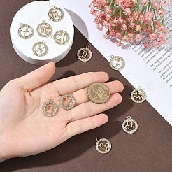 12Pcs 12 Styles Zinc Alloy Crystal Rhinestone Pendants&nbsp;FIND-YW0010-43