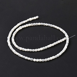 天然ニシキウズガイシェルビーズ連売り  染め  コラム  ホワイト  3.5x3.5mm  穴：0.8mm  約113個/連  15.59''（39.6センチメートル）&nbsp;SSHEL-H070-02G