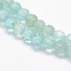 Natural Apatite Beads Strands&nbsp;G-F460-41