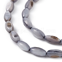 天然淡水貝殻染めビーズ連売り  馬の目  スレートグレイ  9~11.5x4~6mm  穴：0.8mm  約33~41個/連  14.96~15.35インチ（38~39cm）&nbsp;SHEL-M018-13-04