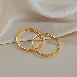 Snake Chain 304 Stainless Steel Hoop Earrings&nbsp;PG2424-1