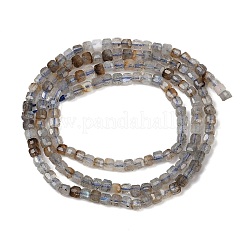 Natural Labradorite Beads Strands&nbsp;G-RM2025-C34-A